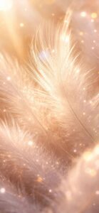 人間関係を良くする羽根の待ち受け、壁紙、無料