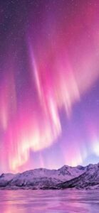 ピンクのオーロラカーテン