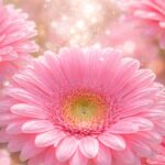 赤のガーベラの復縁画像