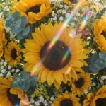 ひまわりのプロポーズされるおまじない待ち受け画像・ラインの背景