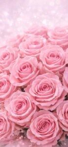 【ピンクの待ち受け】ピンクのバラで連絡が来る、恋の願いが叶う背景画像