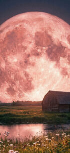 ピンクの満月（ストロベリームーン）