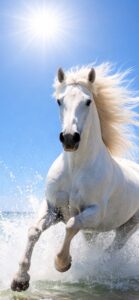 【2026年開運強運最強運気が上がる待ち受け画像】ここぞという時の「馬（ホース）」画像 