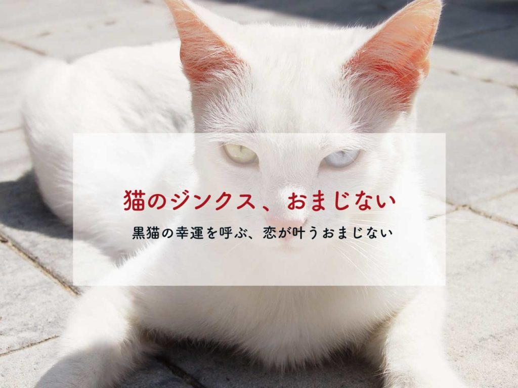 猫のジンクスとおまじない【黒猫の恋のおまじない、黒猫は幸運の使者？】