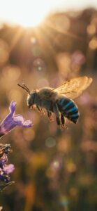 幸せを呼ぶ「ブルー・ビー（青い蜂）」