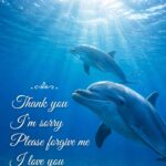 イルカとホ・オポノポノで心を浄化する待ち受け 