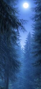 青の森で仕事運が上がる待ち受け画像、ラインの背景画像