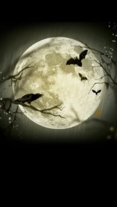 満月と蝙蝠が運気をあげる、いいことが起こるハロウィンのおまじない待ち受け