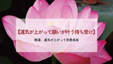 美しくなるおまじない 美容 絶対叶う強力即効のおまじない 恋愛も願いも叶うおまじない 魔術 占い 潜在意識