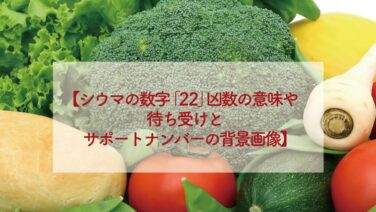 シウマ数字占い 絶対叶う強力即効のおまじない 恋愛も願いも叶うおまじない 魔術 占い 潜在意識