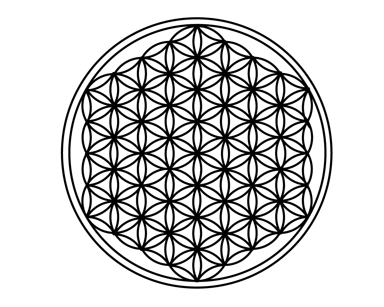 フラワー・オブ・ライフは「等間隔に7つかそれ以上の円を重ねた幾何学図形の名前」そして「全て黄金分割された究極の調和のバランスを持った図形」