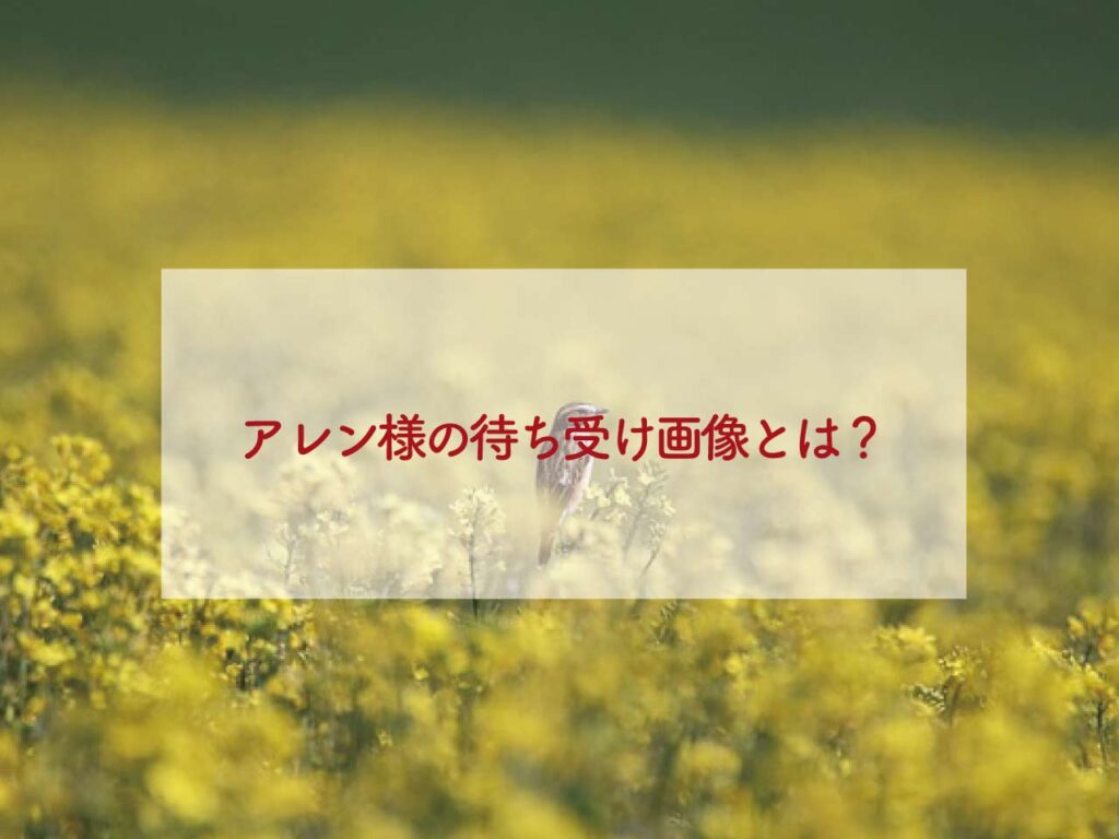 アレン様の待ち受け画像とは？運気が上がるおすすめや恋愛のおすすめ画像、地獄体験について！